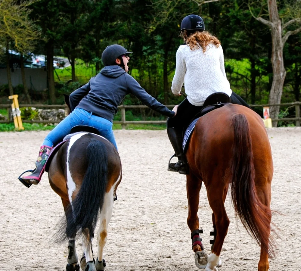 services1-accueil-ecurie-pavillon