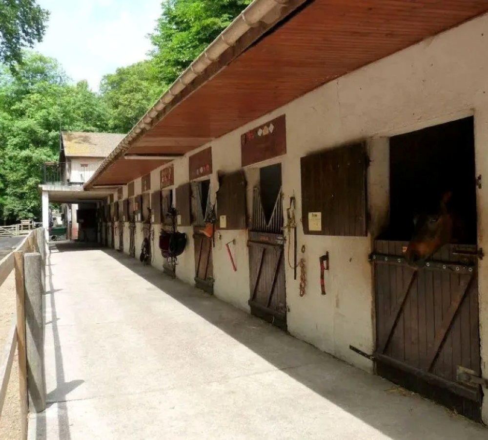 services2-accueil-ecurie-pavillon