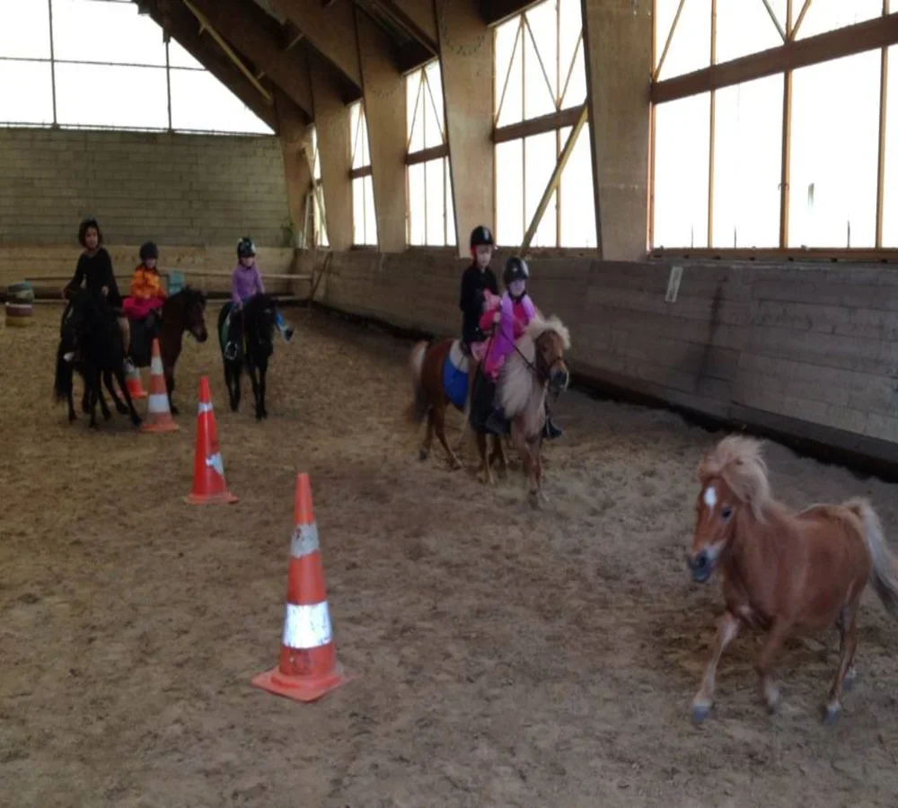 services3-accueil-ecurie-pavillon