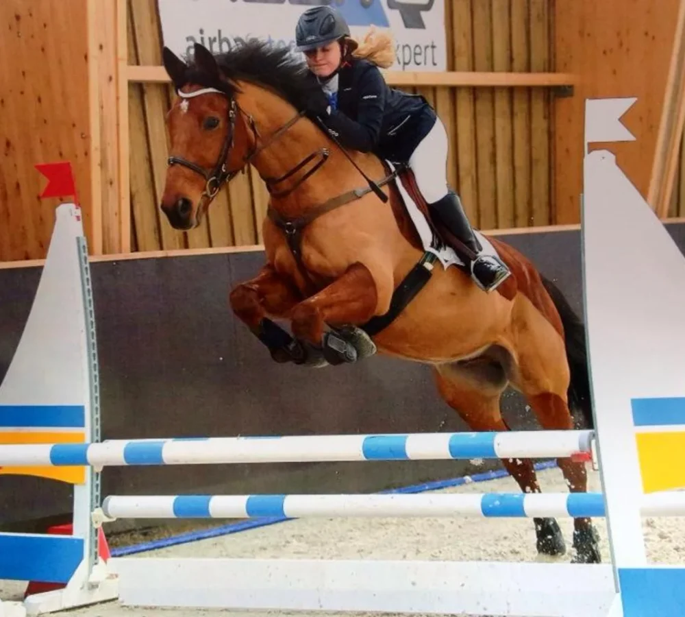 services4-accueil-ecurie-pavillon