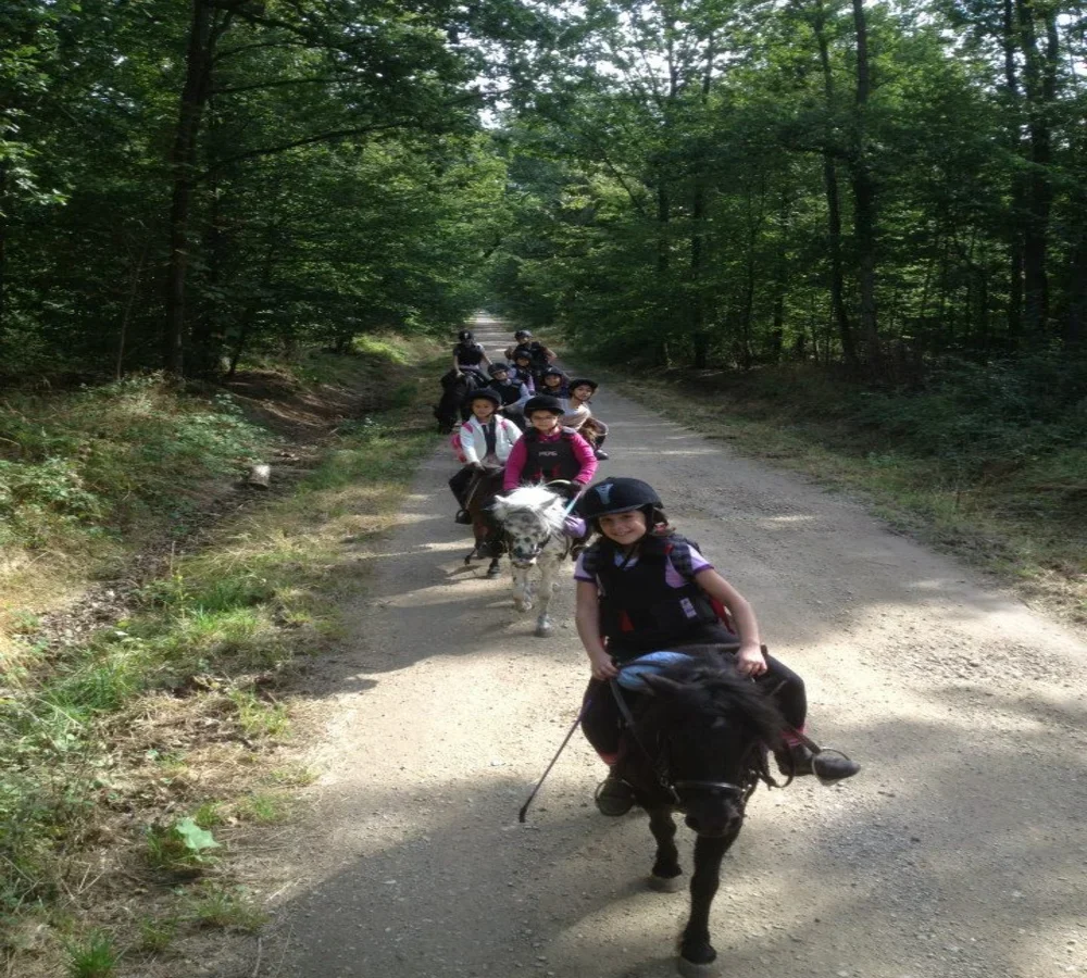 services5-accueil-ecurie-pavillon