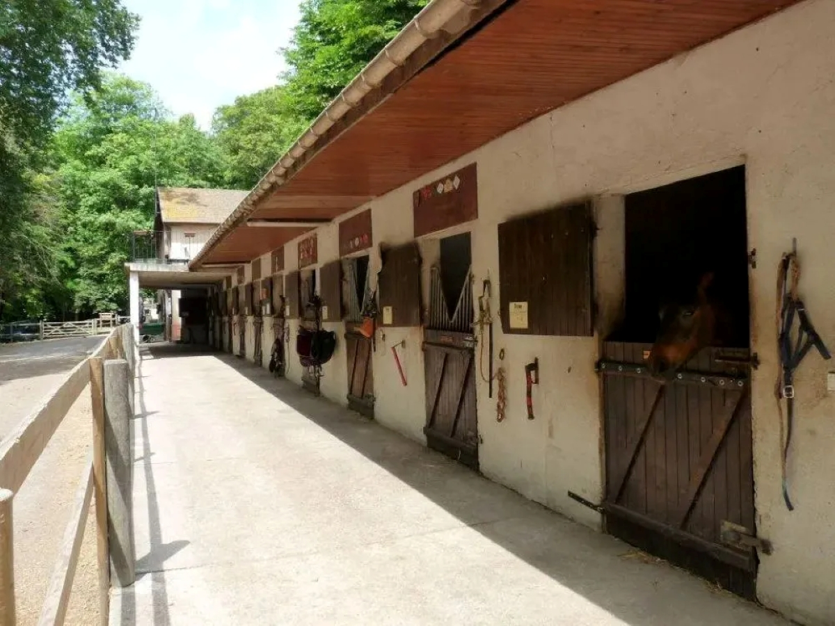 services2-accueil-ecurie-pavillon